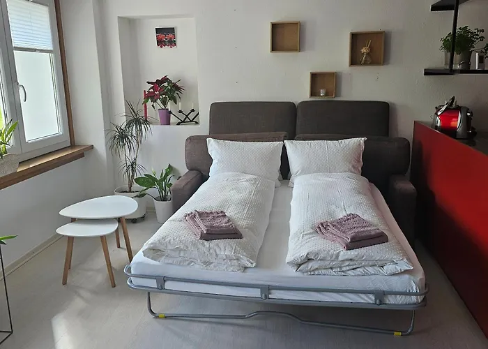 La Fattoria Del Coz *